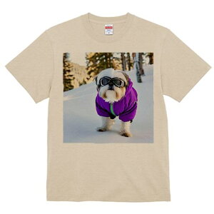 V[Y[ TVc  j[NfUCY LbY t@  t vg JWA 킢 lԗp Mtg I  V[Y[ ~ XL[EFA S[O