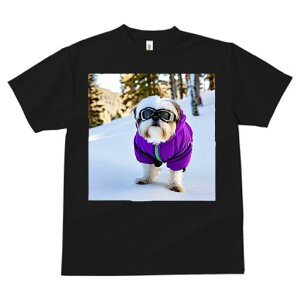 V[Y[ TVc  j[NfUCY LbY t@  t vg JWA 킢 lԗp Mtg I  V[Y[ ~ XL[EFA S[O