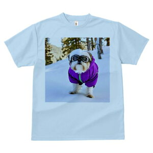 V[Y[ TVc  j[NfUCY LbY t@  t vg JWA 킢 lԗp Mtg I  V[Y[ ~ XL[EFA S[O