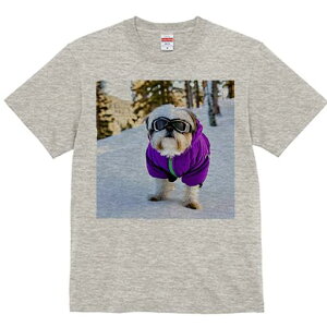 V[Y[ TVc  j[NfUCY LbY t@  t vg JWA 킢 lԗp Mtg I  V[Y[ ~ XL[EFA S[O