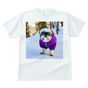 V[Y[ TVc  j[NfUCfB[X t@  t vg JWA 킢 lԗp Mtg I  V[Y[ ~ XL[EFA S[O