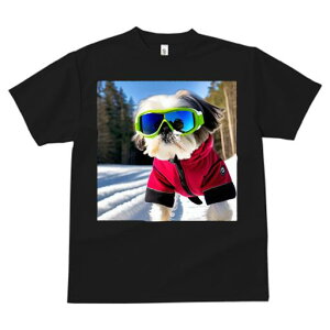 V[Y[ TVc  j[NfUCfB[X t@  t vg JWA 킢 lԗp Mtg I XL[EFA V[Y[ XL[S[O 