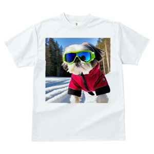 V[Y[ TVc  j[NfUCfB[X t@  t vg JWA 킢 lԗp Mtg I XL[EFA V[Y[ XL[S[O 