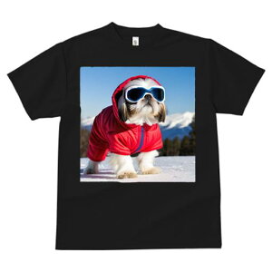 V[Y[ TVc  j[NfUCfB[X t@  t vg JWA 킢 lԗp Mtg I  V[Y[ ~ XL[EFA S[O