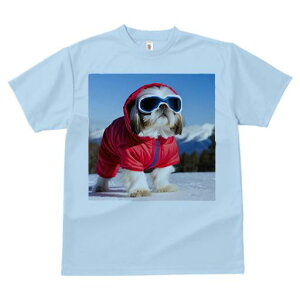 V[Y[ TVc  j[NfUCY LbY t@  t vg JWA 킢 lԗp Mtg I  V[Y[ ~ XL[EFA S[O