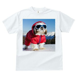 V[Y[ TVc  j[NfUCfB[X t@  t vg JWA 킢 lԗp Mtg I  V[Y[ ~ XL[EFA S[O