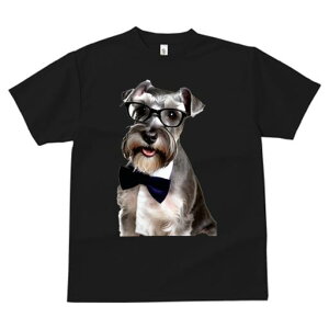 ~j`AViEU[ TVc  j[NfUCfB[X t@  t vg JWA 킢 lԗp Mtg I Kl ~j`AViEU[ lN^C V