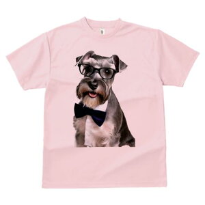 ~j`AViEU[ TVc  j[NfUCY LbY t@  t vg JWA 킢 lԗp Mtg I Kl ~j`AViEU[ lN^C 