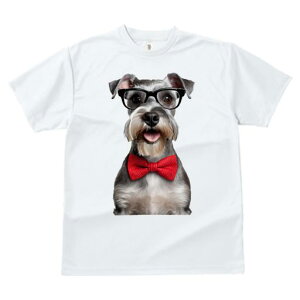 ~j`AViEU[ TVc  j[NfUCfB[X t@  t vg JWA 킢 lԗp Mtg I Kl ~j`AViEU[ lN^C