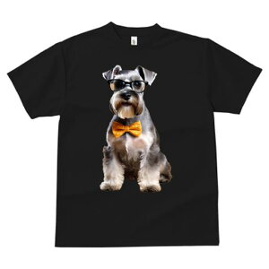 ~j`AViEU[ TVc  j[NfUCY LbY t@  t vg JWA 킢 lԗp Mtg I Kl ~j`AViEU[ lN^C