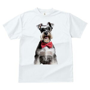 ~j`AViEU[ TVc  j[NfUCfB[X t@  t vg JWA 킢 lԗp Mtg I Kl ~j`AViEU[ lN^C h