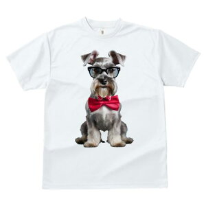 ~j`AViEU[ TVc  j[NfUCfB[X t@  t vg JWA 킢 lԗp Mtg I Kl ~j`AViEU[ lN^C