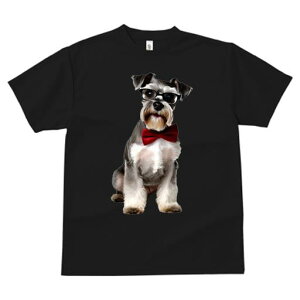 ~j`AViEU[ TVc  j[NfUCfB[X t@  t vg JWA 킢 lԗp Mtg I Kl ~j`AViEU[ lN^C