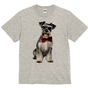 ~j`AViEU[ TVc  j[NfUCY LbY t@  t vg JWA 킢 lԗp Mtg I Kl ~j`AViEU[ lN^C