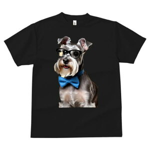 ~j`AViEU[ TVc  j[NfUCfB[X t@  t vg JWA 킢 lԗp Mtg I Kl ~j`AViEU[ lN^C