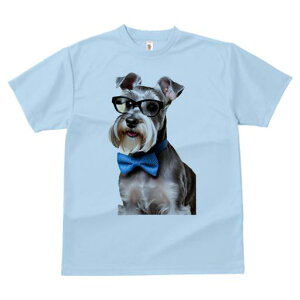 ~j`AViEU[ TVc  j[NfUCY LbY t@  t vg JWA 킢 lԗp Mtg I Kl ~j`AViEU[ lN^C