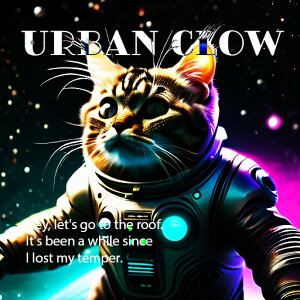 �F����s�m �L �X�y�[�X ���� �N�b�V�����J�o�[ 45×45cm �A�j�}���� ������� ���� �N�b�V�����{�̕t�� �����`