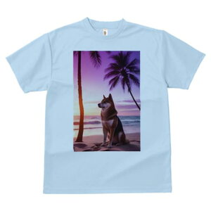 Č TVc  j[NfUCY LbY t@  t vg JWA 킢 lԗp Mtg I r[` Č V̖ [Ă C