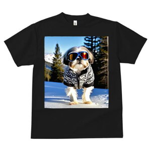 V[Y[ TVc  j[NfUCfB[X t@  t vg JWA 킢 lԗp Mtg I XL[ V[Y[ ~  XL[EFA