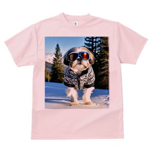 V[Y[ TVc  j[NfUCY LbY t@  t vg JWA 킢 lԗp Mtg I XL[ V[Y[ ~  XL[EFA