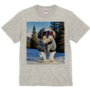 V[Y[ TVc  j[NfUCY LbY t@  t vg JWA 킢 lԗp Mtg I XL[ V[Y[ ~  XL[EFA