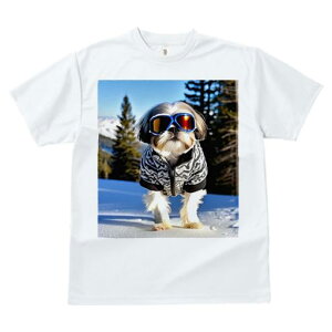 V[Y[ TVc  j[NfUCY LbY t@  t vg JWA 킢 lԗp Mtg I XL[ V[Y[ ~  XL[EFA