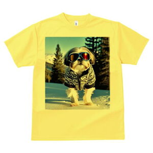 V[Y[ TVc  j[NfUCY LbY t@  t vg JWA 킢 lԗp Mtg I XL[ V[Y[ ~  XL[EFA