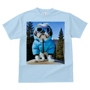 V[Y[ TVc  j[NfUCY LbY t@  t vg JWA 킢 lԗp Mtg I XL[EFA V[Y[ S[O ~