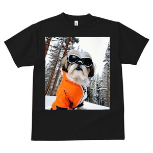 V[Y[ TVc  j[NfUCfB[X t@  t vg JWA 킢 lԗp Mtg I XL[EFA V[Y[ XL[S[O R ~