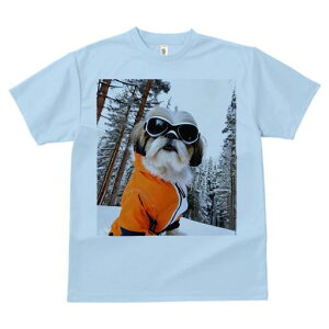 V[Y[ TVc  j[NfUCY LbY t@  t vg JWA 킢 lԗp Mtg I XL[EFA V[Y[ XL[S[O R ~