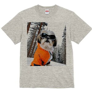 V[Y[ TVc  j[NfUCY LbY t@  t vg JWA 킢 lԗp Mtg I XL[EFA V[Y[ XL[S[O R ~