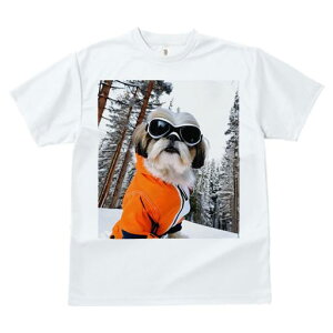 V[Y[ TVc  j[NfUCY LbY t@  t vg JWA 킢 lԗp Mtg I XL[EFA V[Y[ XL[S[O R ~