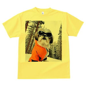 V[Y[ TVc  j[NfUCY LbY t@  t vg JWA 킢 lԗp Mtg I XL[EFA V[Y[ XL[S[O R ~