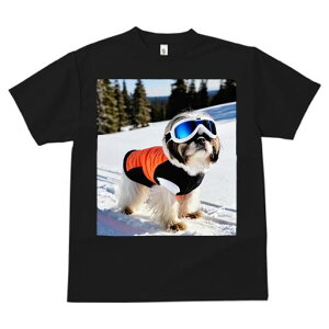 V[Y[ TVc  j[NfUCfB[X t@  t vg JWA 킢 lԗp Mtg I XL[ V[Y[  ~ XL[EFA