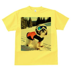 V[Y[ TVc  j[NfUCY LbY t@  t vg JWA 킢 lԗp Mtg I XL[ V[Y[  ~ XL[EFA