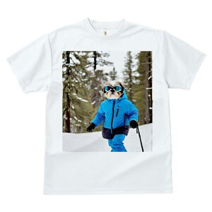 V[Y[ TVc  j[NfUCfB[X t@  t vg JWA 킢 lԗp Mtg I XL[ V[Y[ ~  XL[EFA