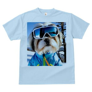 V[Y[ TVc  j[NfUCY LbY t@  t vg JWA 킢 lԗp Mtg I XL[ V[Y[ XL[EFA ~