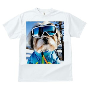 V[Y[ TVc  j[NfUCfB[X t@  t vg JWA 킢 lԗp Mtg I XL[ V[Y[ XL[EFA ~