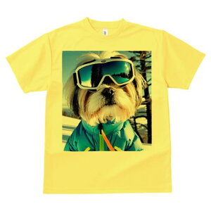 V[Y[ TVc  j[NfUCY LbY t@  t vg JWA 킢 lԗp Mtg I XL[ V[Y[ XL[EFA ~