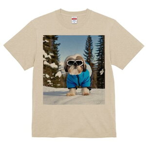 V[Y[ TVc  j[NfUCY LbY t@  t vg JWA 킢 lԗp Mtg I  V[Y[ ~ XL[EFA XL[S[O