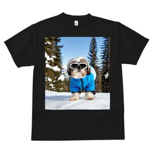 V[Y[ TVc  j[NfUCfB[X t@  t vg JWA 킢 lԗp Mtg I  V[Y[ ~ XL[EFA XL[S[O