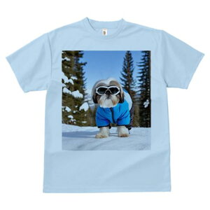 V[Y[ TVc  j[NfUCY LbY t@  t vg JWA 킢 lԗp Mtg I  V[Y[ ~ XL[EFA XL[S[O