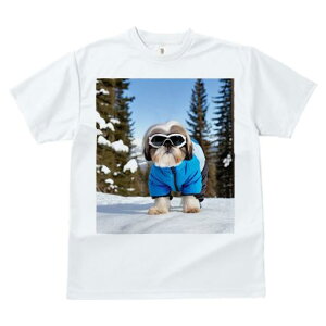 V[Y[ TVc  j[NfUCfB[X t@  t vg JWA 킢 lԗp Mtg I  V[Y[ ~ XL[EFA XL[S[O