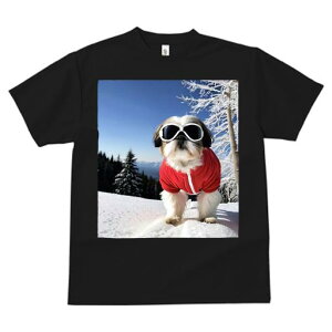 V[Y[ TVc  j[NfUCfB[X t@  t vg JWA 킢 lԗp Mtg I  V[Y[ ~ XL[EFA XL[S[O