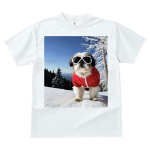 V[Y[ TVc  j[NfUCfB[X t@  t vg JWA 킢 lԗp Mtg I  V[Y[ ~ XL[EFA XL[S[O