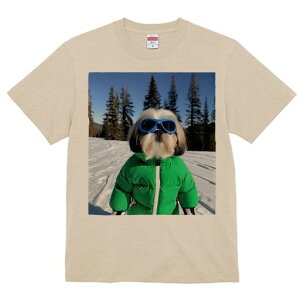 V[Y[ TVc  j[NfUCY LbY t@  t vg JWA 킢 lԗp Mtg I XL[ V[Y[  ~ XL[EFA