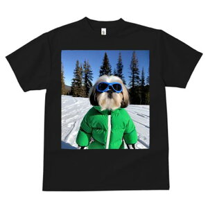 V[Y[ TVc  j[NfUCfB[X t@  t vg JWA 킢 lԗp Mtg I XL[ V[Y[  ~ XL[EFA