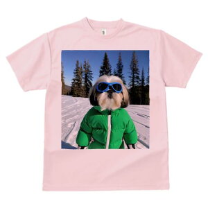 V[Y[ TVc  j[NfUCY LbY t@  t vg JWA 킢 lԗp Mtg I XL[ V[Y[  ~ XL[EFA