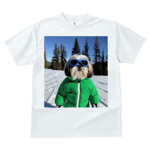 V[Y[ TVc  j[NfUCY LbY t@  t vg JWA 킢 lԗp Mtg I XL[ V[Y[  ~ XL[EFA