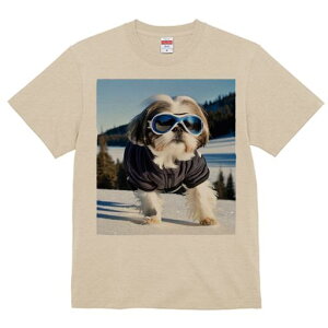 V[Y[ TVc  j[NfUCY LbY t@  t vg JWA 킢 lԗp Mtg I XL[ V[Y[ ~  XL[EFA